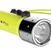 Wholesale ???? Ledlenser D14 Daylight Torch 300lm ???? -Outlet Lewmar Store 29781